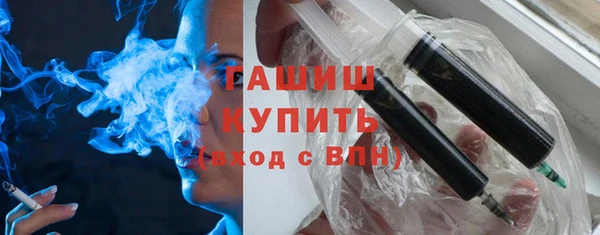 дживик Туринск
