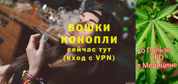 гашик Вязьма