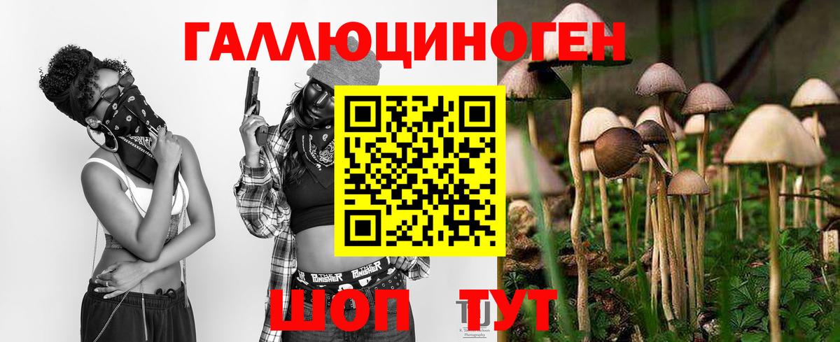 даркнет сайт  Галлюциногенные грибы Cubensis  Тайшет  Вход с VPN  Галлюциногенные грибы Magic Shrooms 